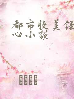 都市收美录宁素心小说