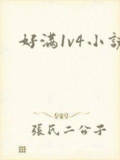 好满1v4小说