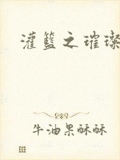 灌篮之璀璨生涯