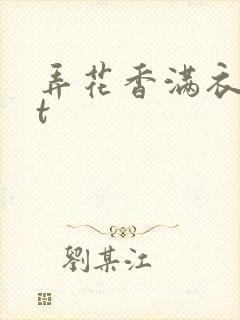 弄花香满衣txt