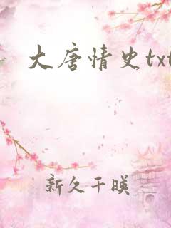 大唐情史txt