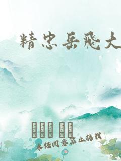 精忠岳飞大结局