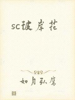 sc彼岸花