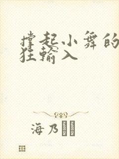 撑起小舞的腿疯狂输入