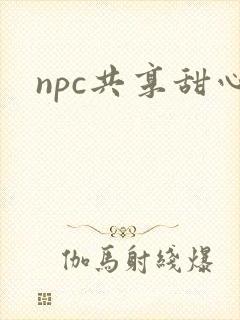 npc共享甜心