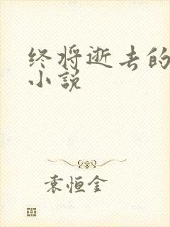 终将逝去的青春小说