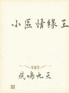 小区情缘王丽萍