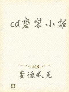 cd变装小说