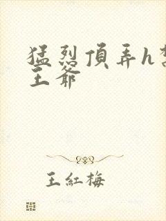 猛烈顶弄h禁欲王爷