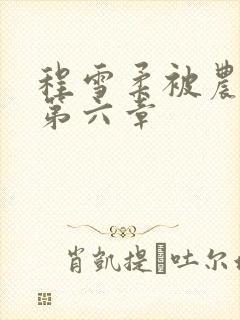 程雪柔被农民工第六章