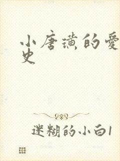 小唐璜的爱情历史