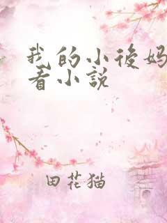 我的小后妈免费看小说