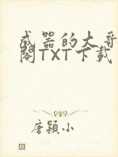 成器的大哥笔趣阁TXT下载