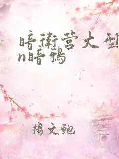 暗卫营大型hpn暗鸦