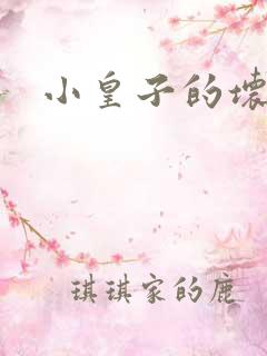 小皇子的坏王妃