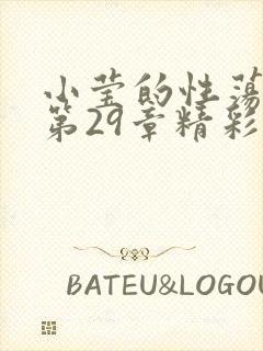 小莹的性荡生活第29章精彩章节