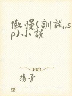 傲慢(训诫,sp)小说