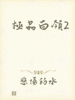 极品白领2