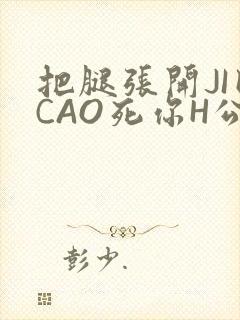 把腿张开JI巴CAO死你H公园