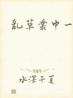 乱草丛中一杆枪