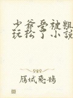 少爷受被粗汉H玩松了小说