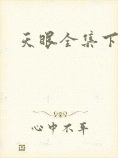 天眼全集下载
