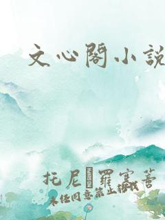 文心阁小说