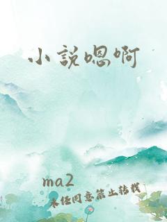 小说嗯啊