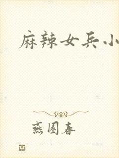 麻辣女兵小说版