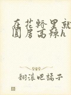 在花轿里就开始圆房高辣h