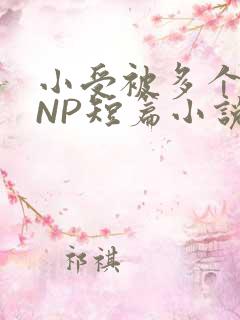 小受被多个攻强NP短篇小说