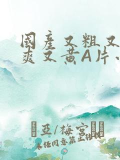 国产又粗又猛又爽又黄A片小说