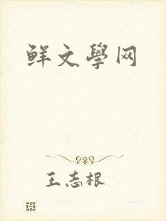 鲜文学网