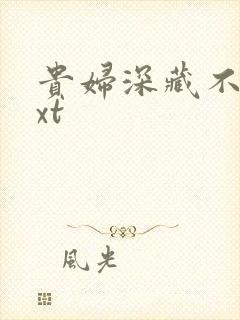 贵妇深藏不露txt