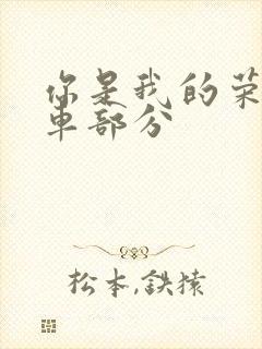 你是我的荣耀开车部分