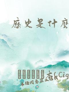 历史是什么玩意