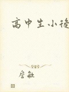 高中生小后妈