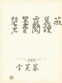 楚墨霆慕薇小说免费阅读