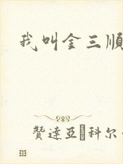 我叫金三顺下载
