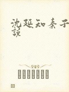 沈延知秦子卿小说