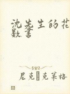 沈先生的花式调数书