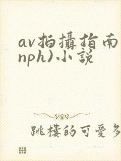 av拍摄指南(nph)小说