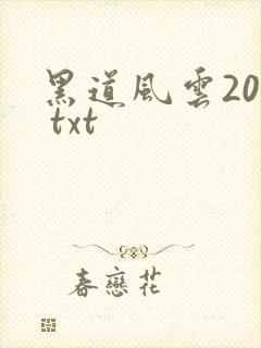 黑道风云20年 txt
