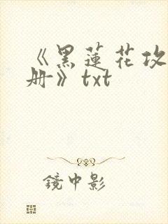 《黑莲花攻略手册》txt