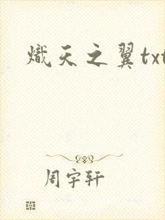 炽天之翼txt