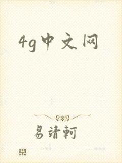 4g中文网