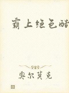 霸上绝色酷王爷