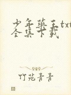 少年药王txt全集下载