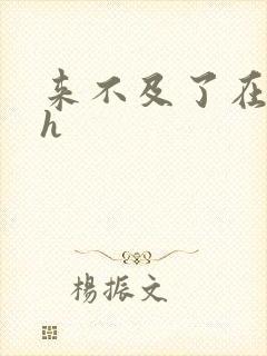 来不及了在车ch