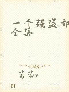 一个强盗都不留全集